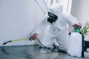 Medford pest control treatment options